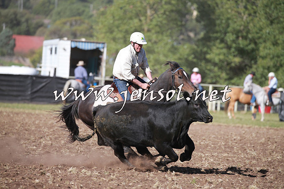 NimmitabelCampdraft2016_0532