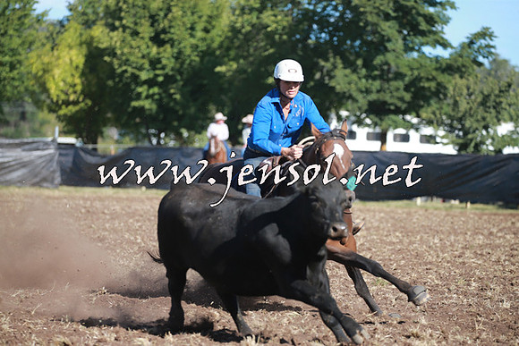 NimmitabelCampdraft2016_0483