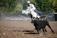 NimmitabelCampdraft2016_0480
