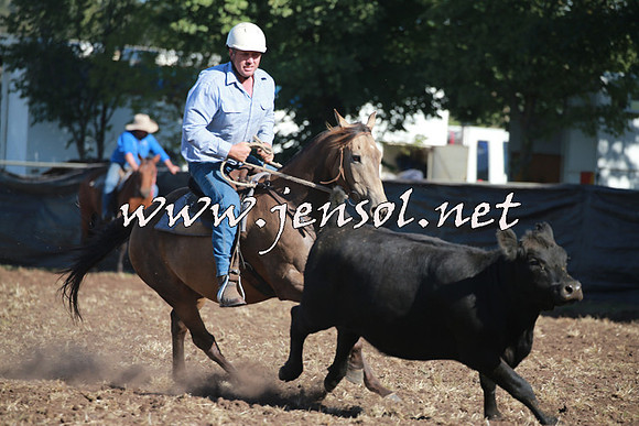 NimmitabelCampdraft2016_0496