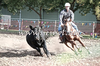 NimmitabelCampdraft2016_0443