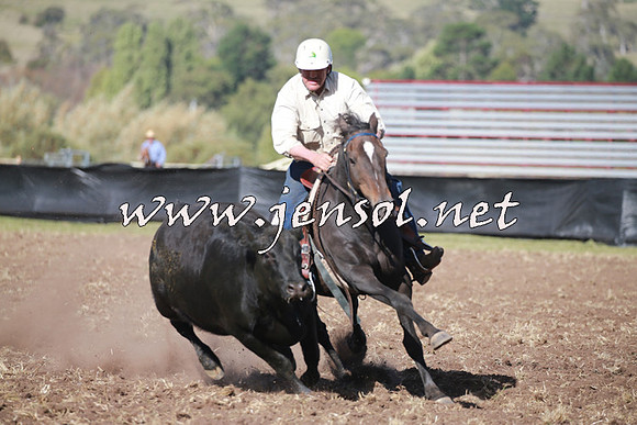 NimmitabelCampdraft2016_0529