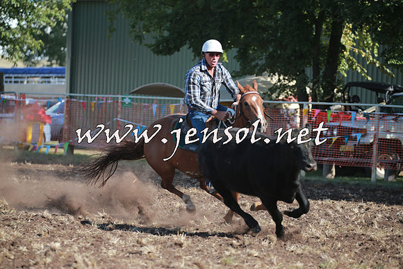NimmitabelCampdraft2016_0522