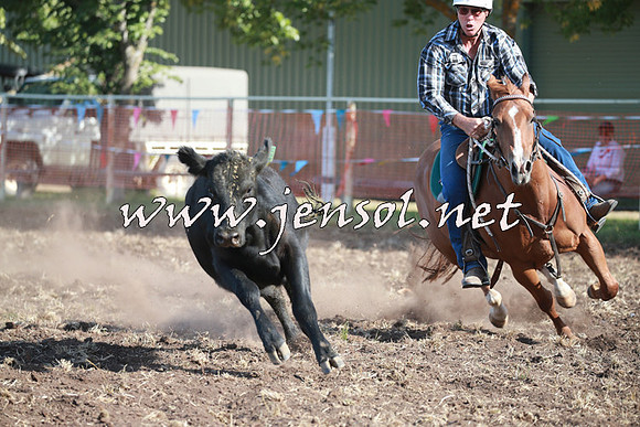 NimmitabelCampdraft2016_0525
