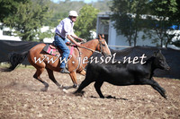 NimmitabelCampdraft2016_0462