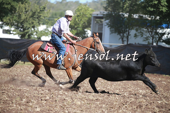 NimmitabelCampdraft2016_0462