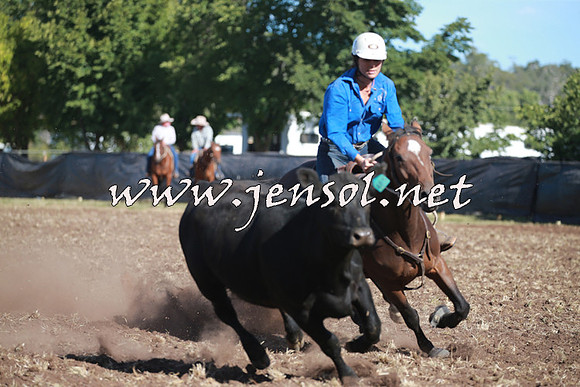 NimmitabelCampdraft2016_0485