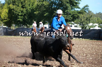 NimmitabelCampdraft2016_0484