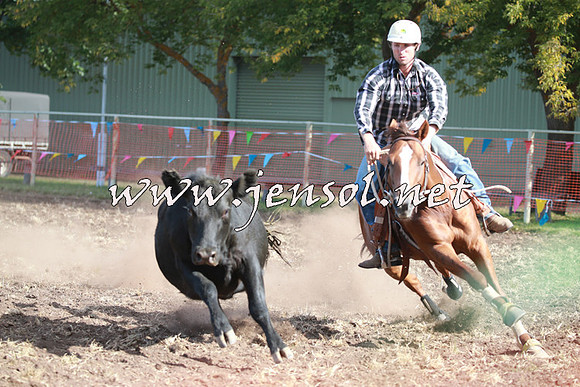 NimmitabelCampdraft2016_0456