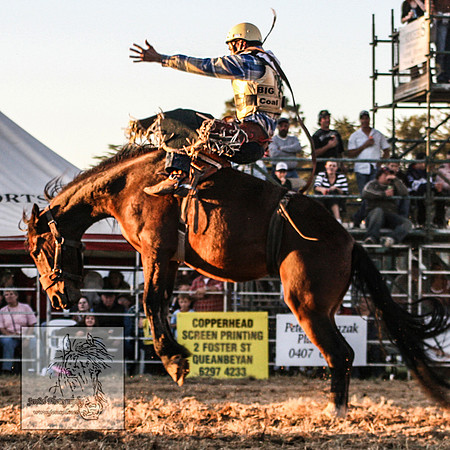 QueanbeyanRodeo2007-71