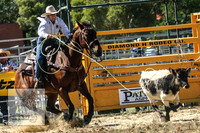 QueanbeyanRodeo2007-19
