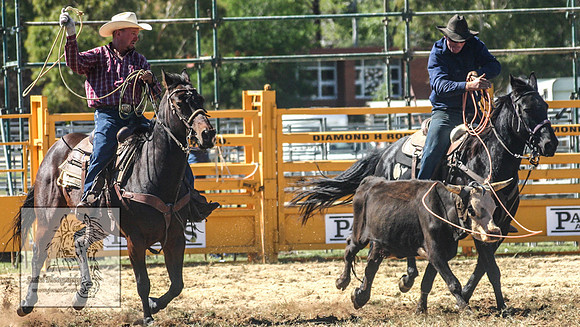 QueanbeyanRodeo2007-27