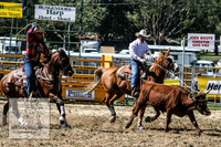 QueanbeyanRodeo2007-1