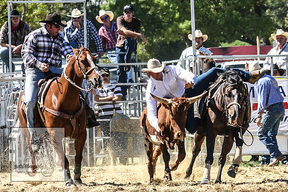 QueanbeyanRodeo2007-45