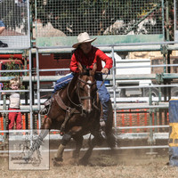 QueanbeyanRodeo2007-8