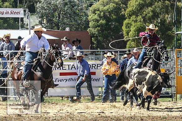 QueanbeyanRodeo2007-30