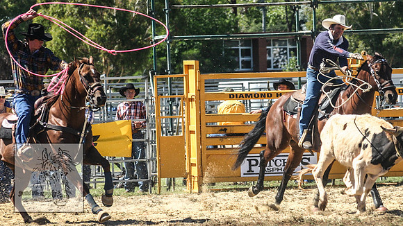 QueanbeyanRodeo2007-28