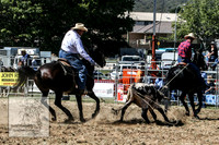 QueanbeyanRodeo2007-2