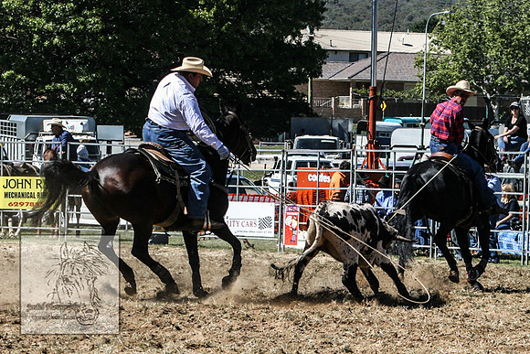 QueanbeyanRodeo2007-2