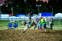 BathurstShow2017Fri_1503