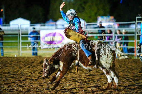 BathurstShow2017Fri_2163