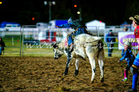 BathurstShow2017Fri_1573