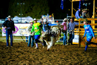 BathurstShow2017Fri_2061