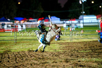 BathurstShow2017Fri_1551