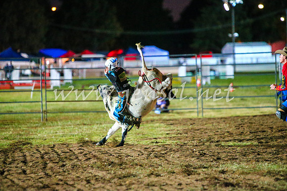 BathurstShow2017Fri_1551