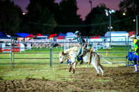 BathurstShow2017Fri_1514