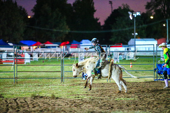 BathurstShow2017Fri_1514