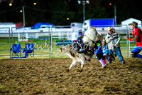 BathurstShow2017Fri_1519