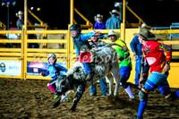 BathurstShow2017Fri_1580