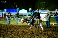 BathurstShow2017Fri_2063