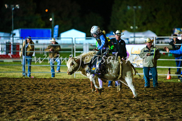 BathurstShow2017Fri_2063