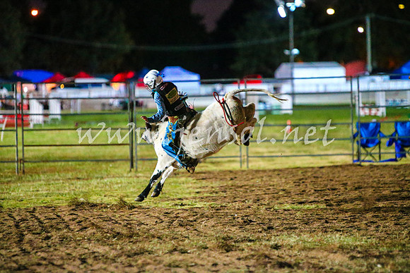 BathurstShow2017Fri_1553