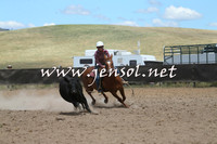 AdaminabyCampdraft2014_1072