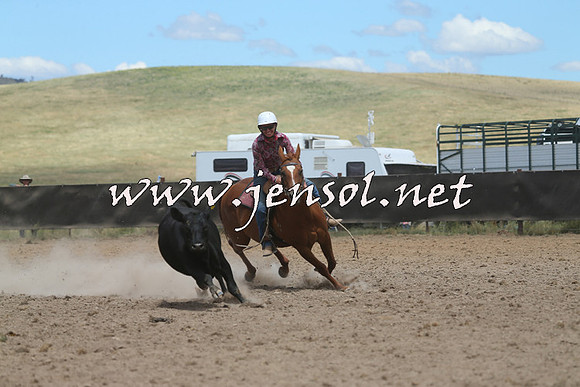 AdaminabyCampdraft2014_1072