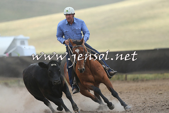 AdaminabyCampdraft2014_1129