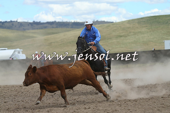 AdaminabyCampdraft2014_1181