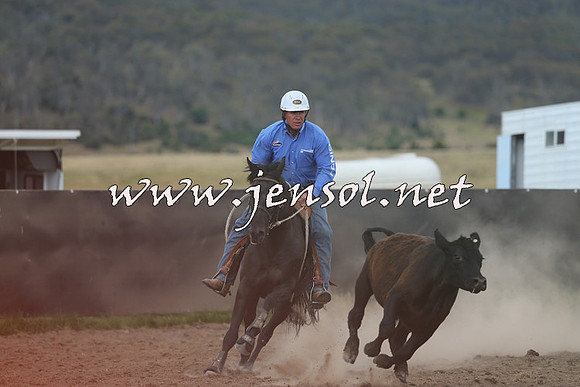 AdaminabyCampdraft2014_1156