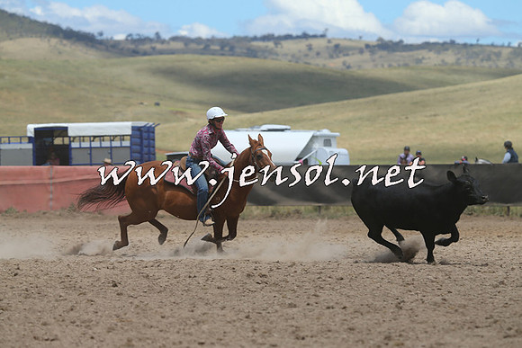 AdaminabyCampdraft2014_1073