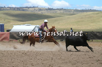AdaminabyCampdraft2014_0955-1