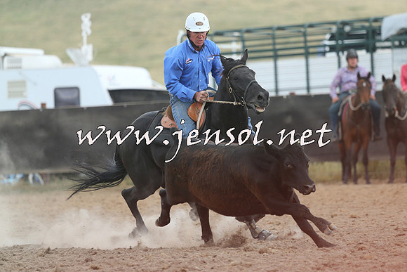 AdaminabyCampdraft2014_1161