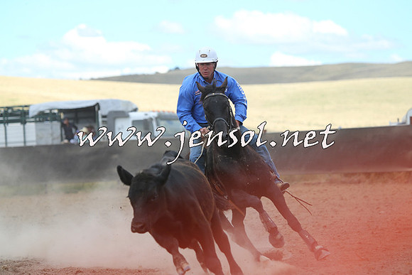 AdaminabyCampdraft2014_1121