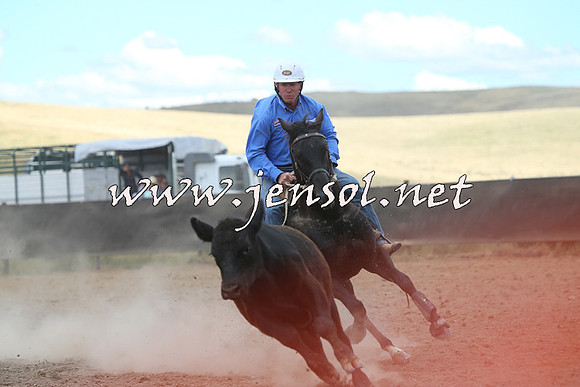 AdaminabyCampdraft2014_1120