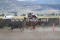 AdaminabyCampdraft2014_1076
