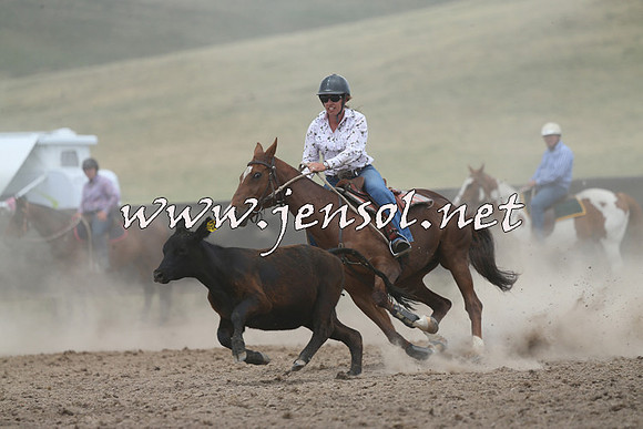 AdaminabyCampdraft2014_1111