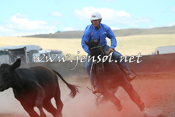 AdaminabyCampdraft2014_1119