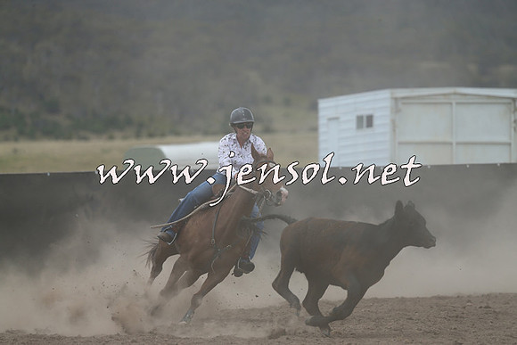 AdaminabyCampdraft2014_1109